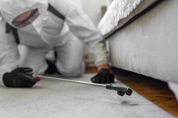Professional Bed Bug Control technician working in Newington, VA