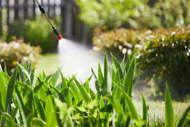 24/7 Emergency Bed Bug Control experts in Newington, VA