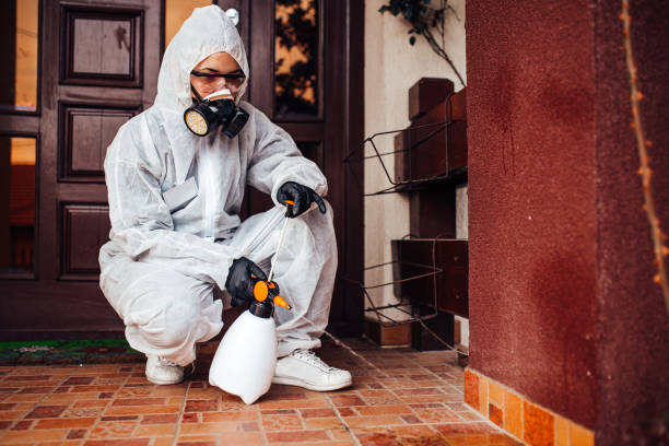 Reliable Bed Bug Control contractor in Newington, VA by Nex Pest Control