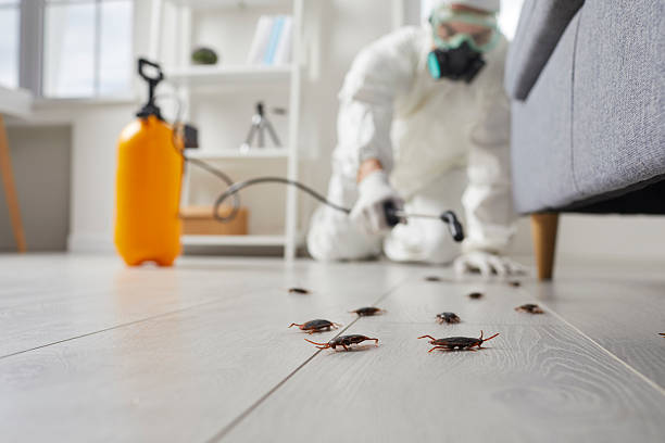 Trusted Bed Bug Control service in Newington, VA - Nex Pest Control