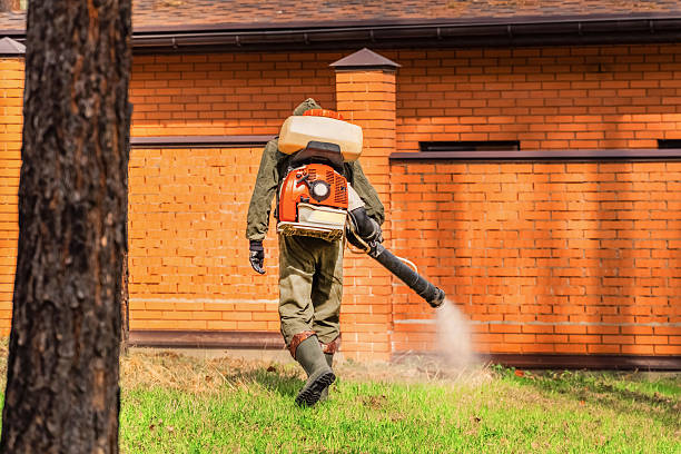 Trusted Termite Control service in Newington, VA - Nex Pest Control